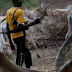 Suspected herdsmen allegedly kill Nollywood actor in Ilorin