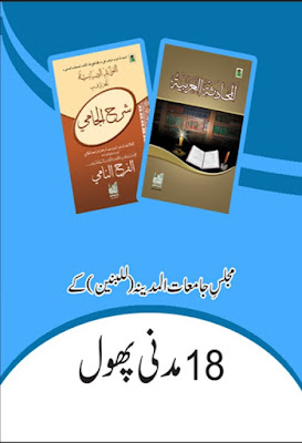 18 Madani Phool - Majlis-e-Jamiat pdf in Urdu