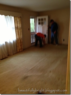 Before-Carpet