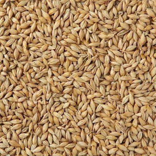 Barley fundamental report