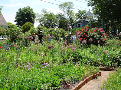Wellfleet Preservation Hall held its first annual garden tour this afternoon 