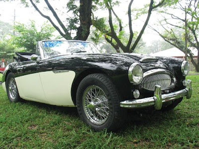 1964 AUSTIN HEALEY 3000 THE ROYAL HORTICULTURAL HALLS United Kingdom