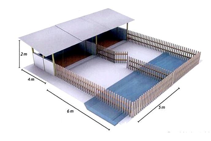 Duck Houses