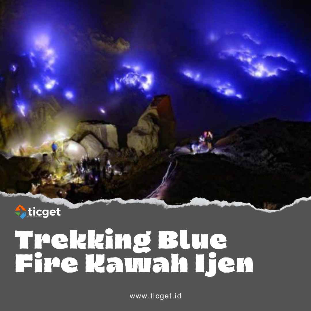 Experience the awe-inspiring beauty of the Blue Fire phenomenon Our Blue Fire Trekking Ijen starting from Banyuwangi. Witness the mesmerizing natural display as blue flames dance against the dark night sky at the Ijen Crater. Our expert guides will lead you on an adventure through the stunning landscapes and rugged terrain, ensuring a safe and unforgettable journey.