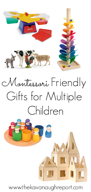 Montessori friendly toy ideas for multiple children - things that can be used for multiple ages or more than one child