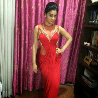 Shriya Saran Hot Pic in Red Dress