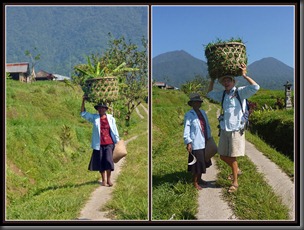P1160273_postcard