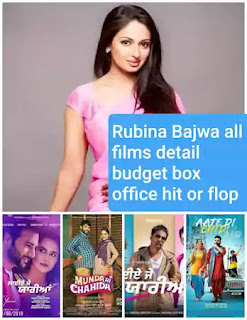 Rubina Bajwa - all movie list budget box office collection hit or flop detail
