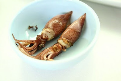 Firefly Squid