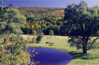 photo of South Newfane, VT