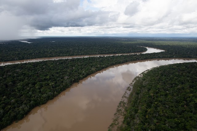 Amazônia tem recorde de desmate em setembro
