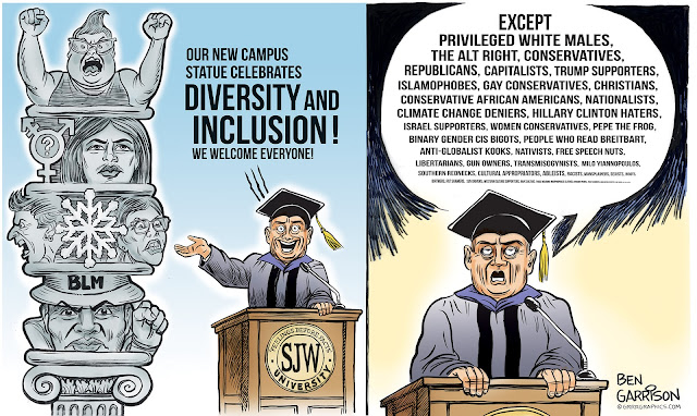 Image result for campus diversity cartoons