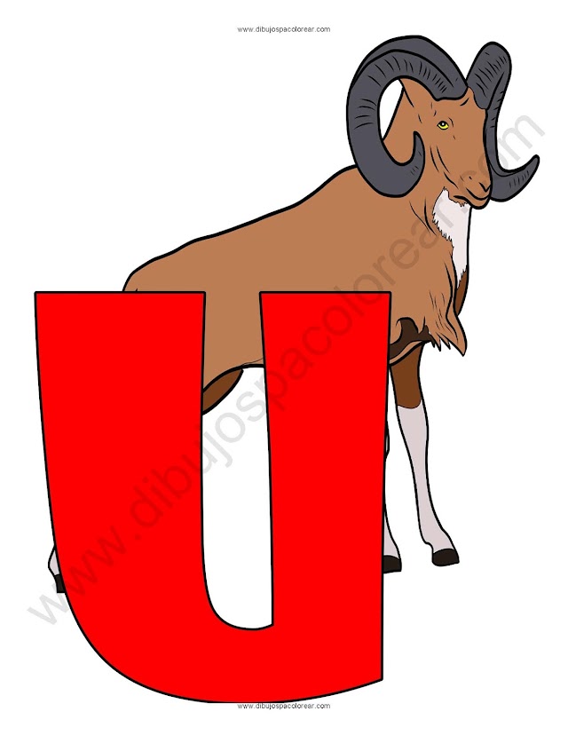 Letra U Urial abecedario dibujo a color y para colorear