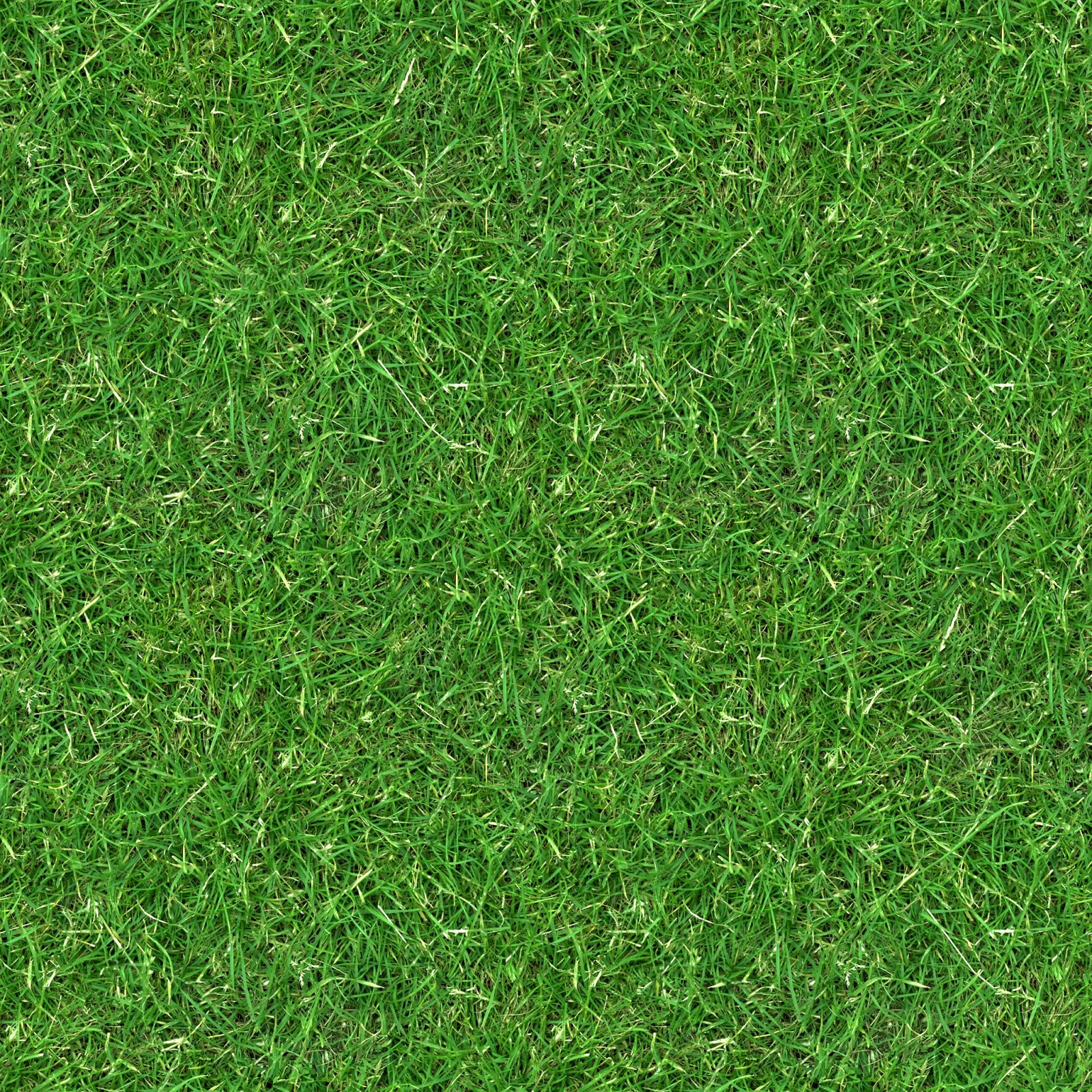HIGH RESOLUTION TEXTURES: (GRASS 3) seamless turf lawn green ground