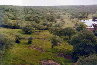 Madhav National Park, Madhya Pradesh