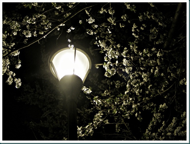 2009_04100106