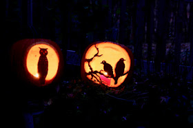 pumpkin carvings for the birds