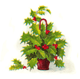 Holly Berries Clip Art