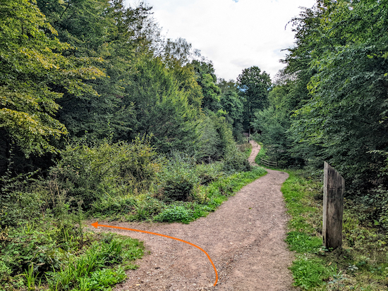 Turn left then follow the track back to the car park