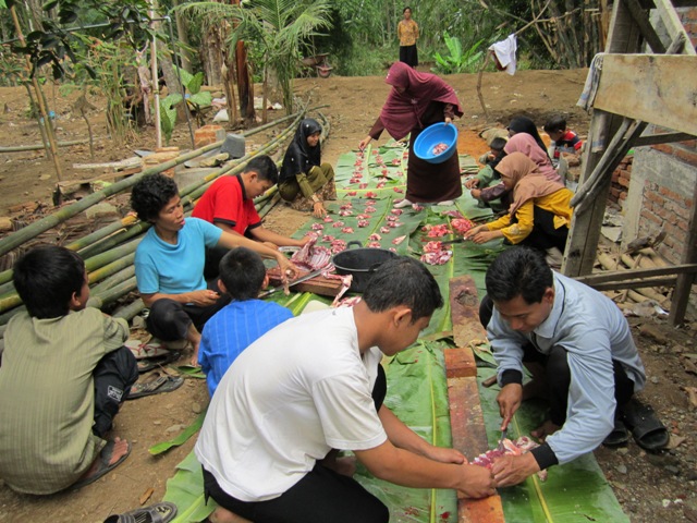 Contoh Surat Edaran Qurban Di Sekolah  Wisata Dan Info Sumbar