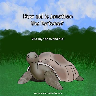Facts about Turtles