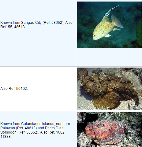 List of Dangerous Fish in the Philippines