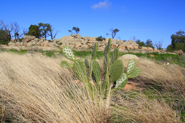 Mt Wycheproof