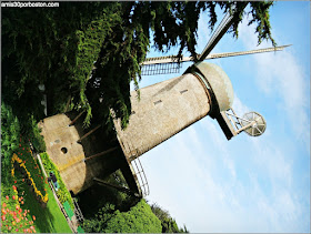 Golden Gate Park: Dutch Windmill