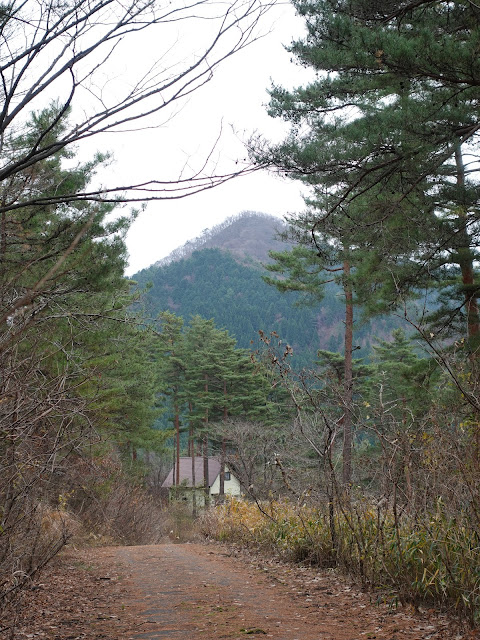 大山希望ヶ丘の一番上の道からの眺望