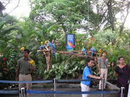 Jurong Bird Park