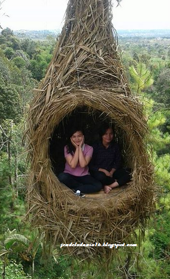 [http://FindWisata.blogspot.com] Wisata Unik Spot Foto Rumah Pohon Sangkar Burung Sidikalang