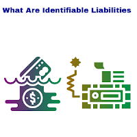 Identifiable Liabilities