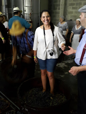 Vinícola Cainelli em Bento Gonçalves: uma vinícola para famílias na Serra Gaúcha