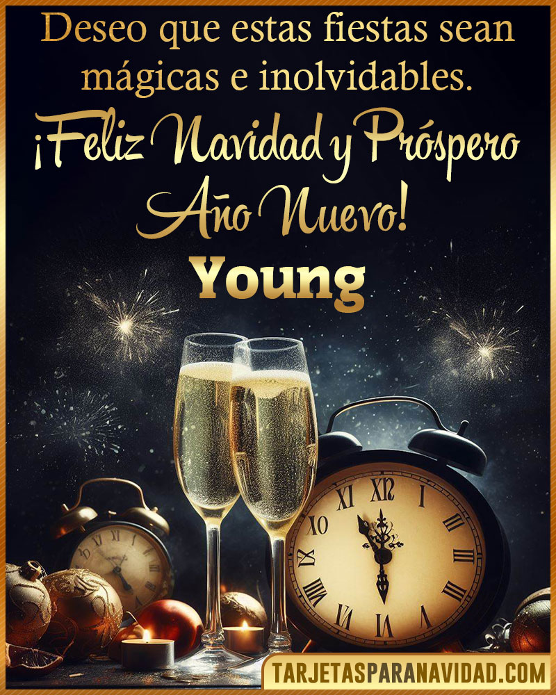 Feliz Navidad y Próspero Año Nuevo Young