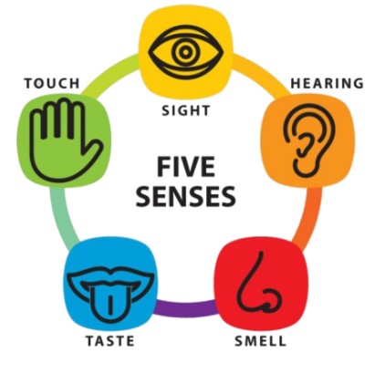 5 Senses Grounding, Cara Menyadarkan Diri Ketika Serangan Panik