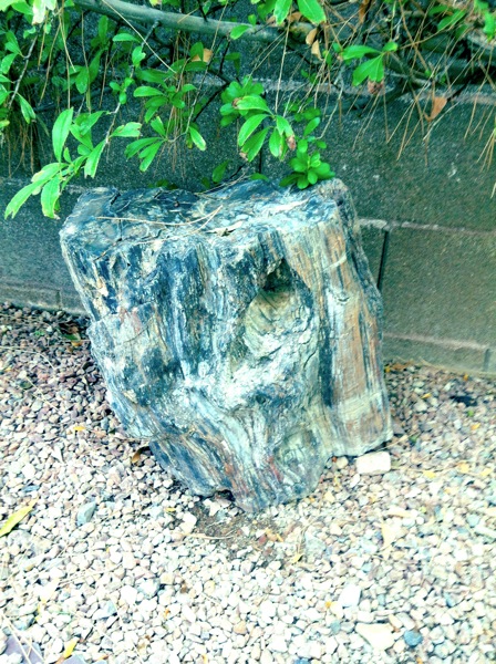 Solidtree