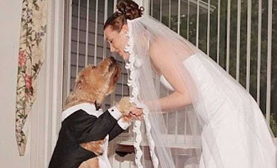 gambar Emily Mabou Menikah Dengan Anjing
