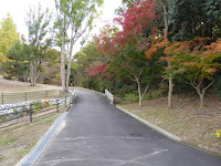 王仁公園・秋の紅葉ウォーキング