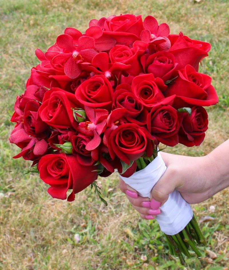 Trend 10+ Foto Bunga Mawar Merah Cantik