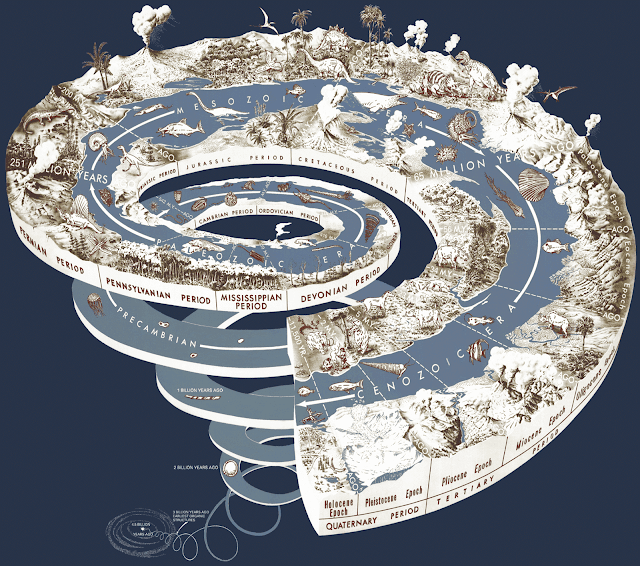 Evolution, Evolutionary history of Life on Earth and Geologic Time Scale