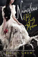 nameless by lili st. crow book cover