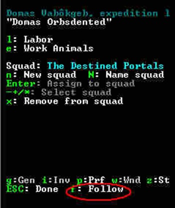 dwarf-fortress-mistemakman_8