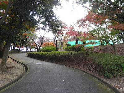 王仁公園・秋の紅葉ウォーキング