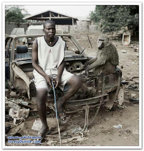 Unusual pets in Africa