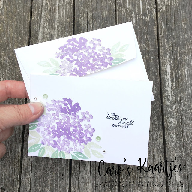 Stampin' Up! hobbymaterialen zijn verkrijgbaar via Caro's Kaartjes. Voor meer informatie mail naar carooskaartjes@hotmail.nl of kijk op https://carooskaartjes.blogspot.com/