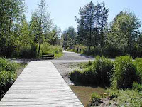 burns bog delta bc