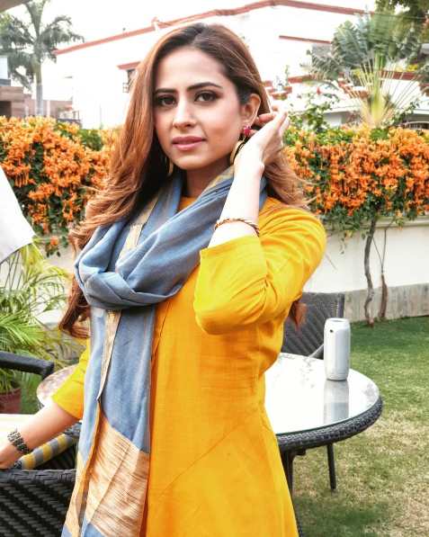 Punjabi Actress Sargun Mehta wikipedia, Biography, Age, Sargun Mehta Age, filmography, upcoming movie name list wiki, upcoming film, latest release film, photo, news, hot image