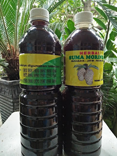 Suma Morinda - Jual Sari Mengkudu Murni di Surabaya