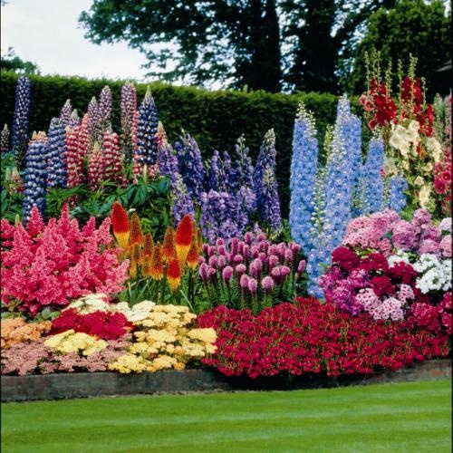 New Wonderful Photos: Perennial Garden Ideas