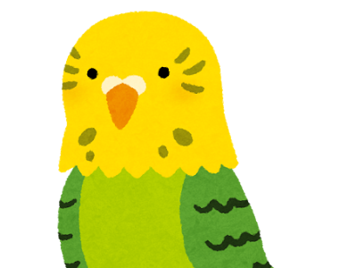 [新しいコレクション] セキセイ インコ イラスト 可愛い 751440-セキセイインコ 値段 相場 ペットショップ